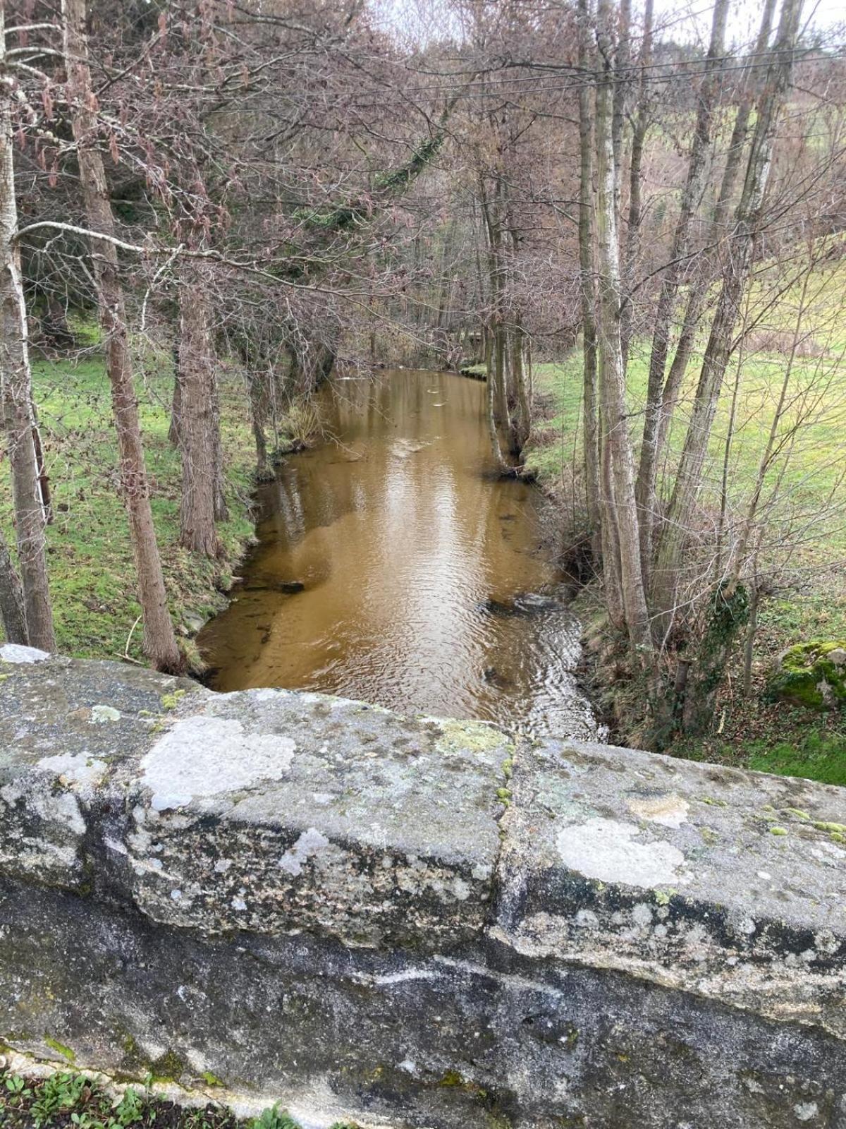 Jolie Maison De Campagne, Compostelle Villa Soleymieux Bagian luar foto