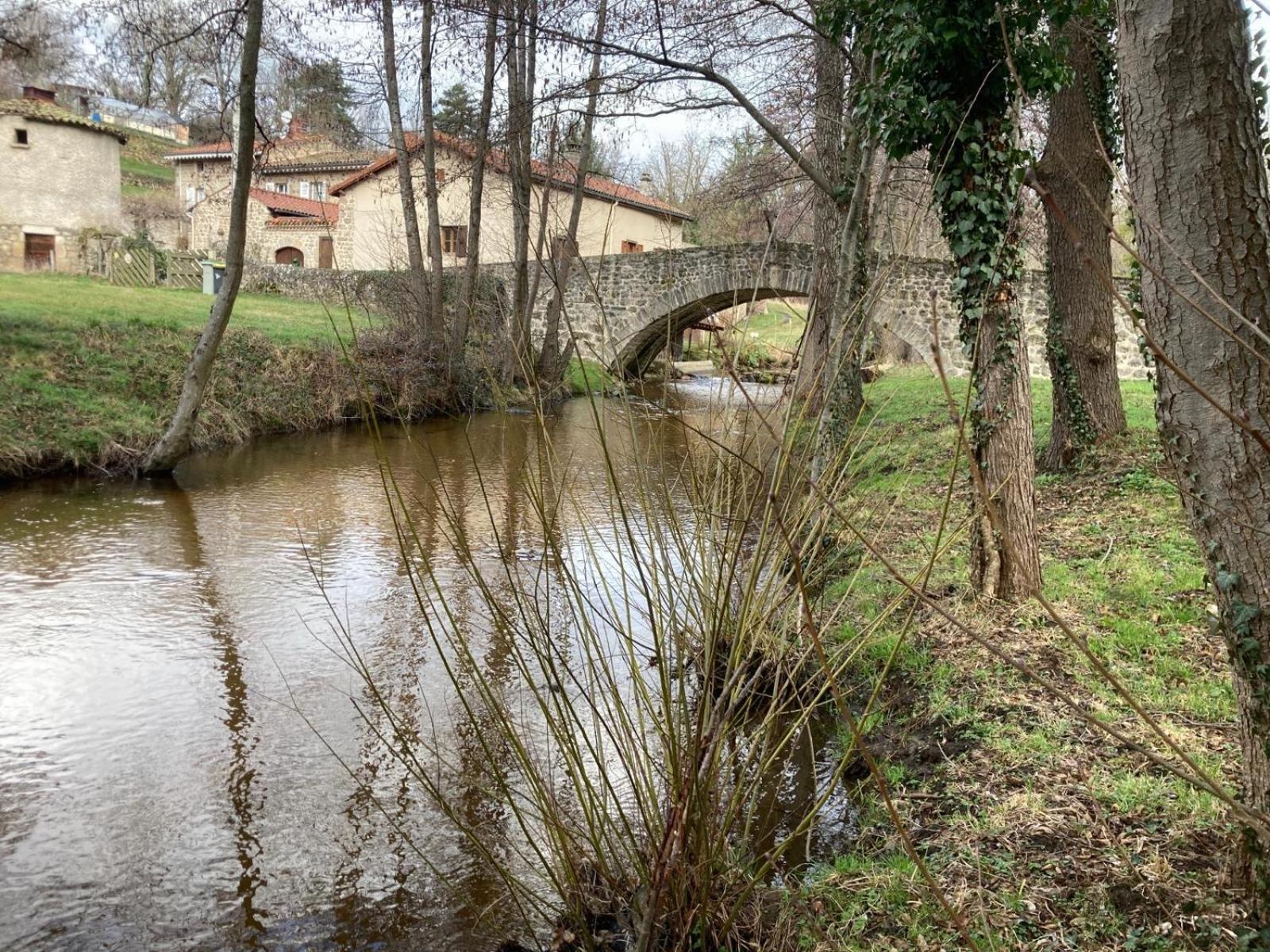 Jolie Maison De Campagne, Compostelle Villa Soleymieux Bagian luar foto