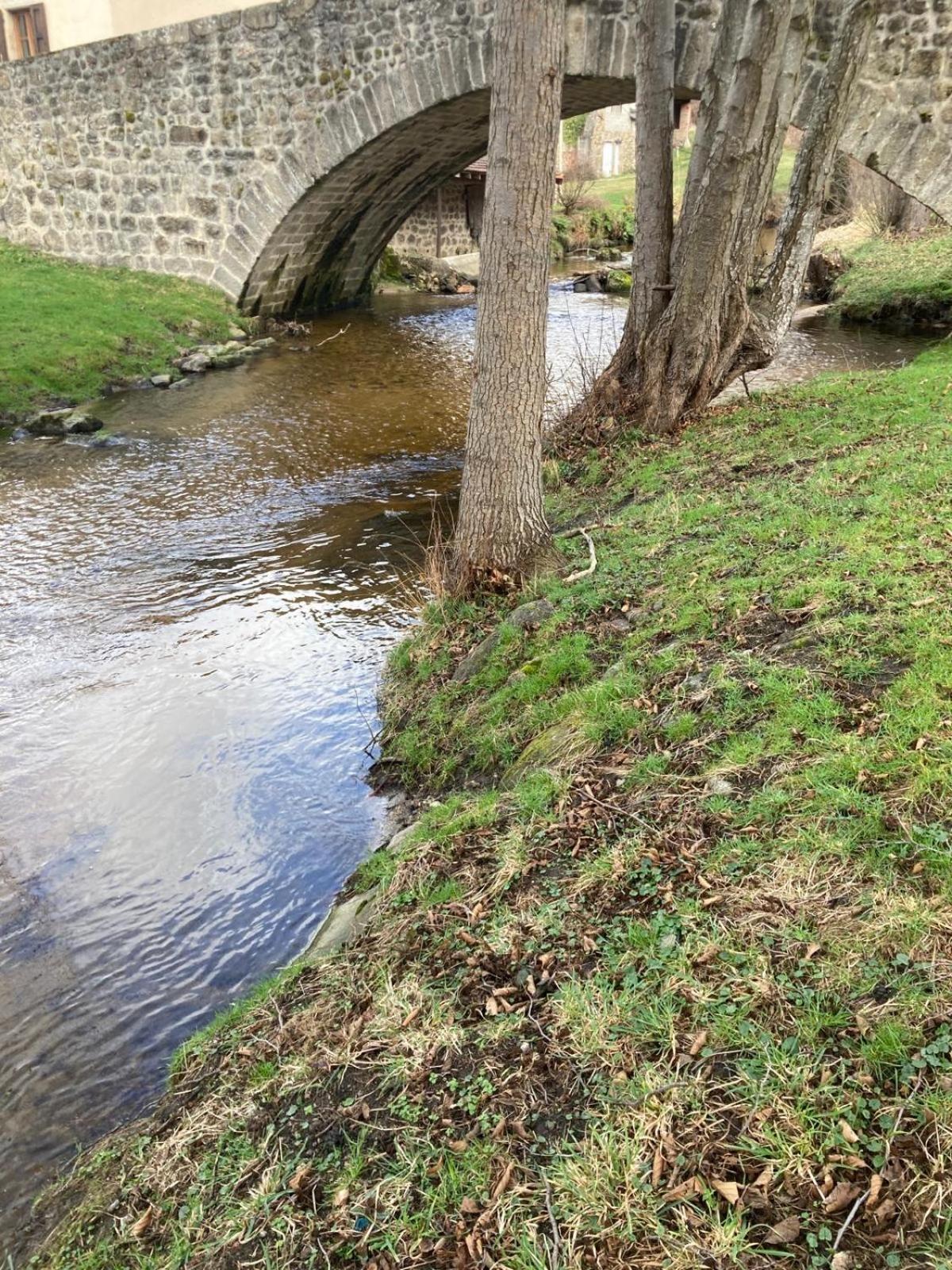 Jolie Maison De Campagne, Compostelle Villa Soleymieux Bagian luar foto